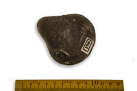 F 00196
<br/>
<br/>
<em></em>